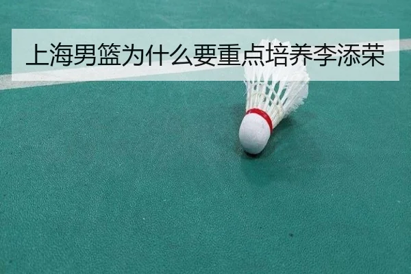 上海男篮为什么要重点培养李添荣